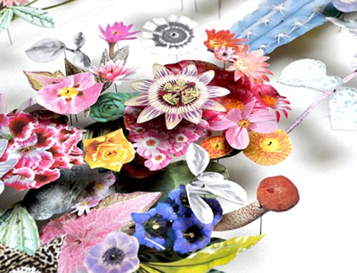 Insect Pins for Art, Entomology, Puppetry, Textiles, Pin Hole Photography