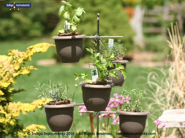 5 Piece Herb Garden