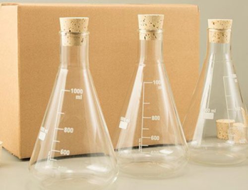 What Are Erlenmeyer Flasks Good For? Home Decor!