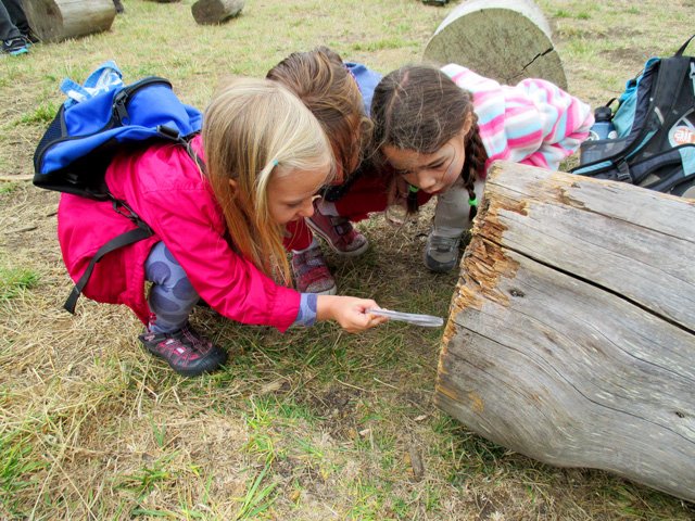 Naturebridge Mini Magnifiers Science