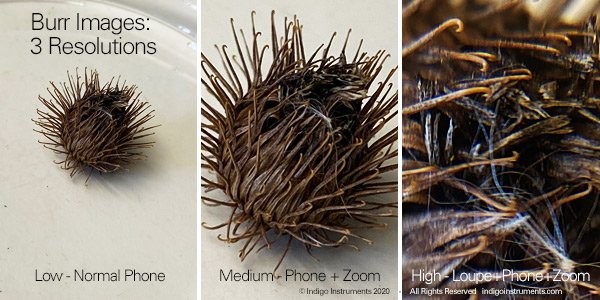 Phone Camera Loupe Magnified Thistle Burrs