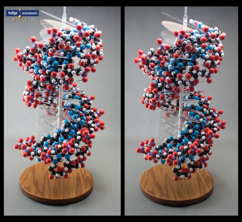 RNA 3d stereo model