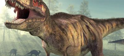 Is it Possible to Recreate Dinosaurs from their DNA? - Indigo Instruments