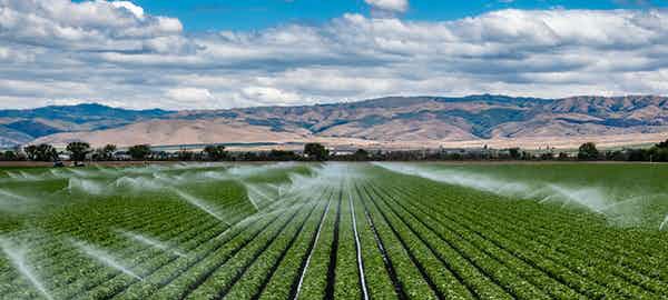 Groundwater